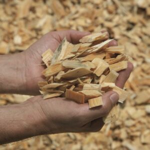 PULPWOOD CHIPS